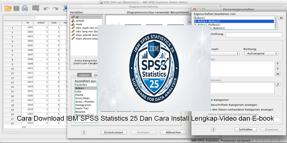 IBM SPSS Statistics 25