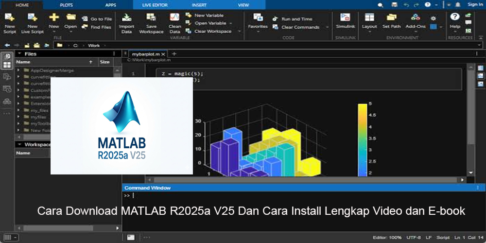 MATLAB R2025a V25