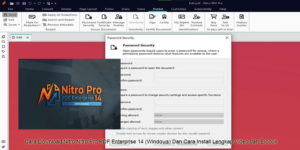 Nitro Nitro Pro PDF Enterprise 14 (Windows)