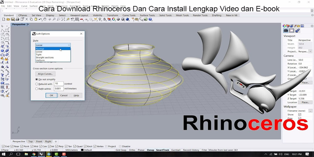 Rhinoceros