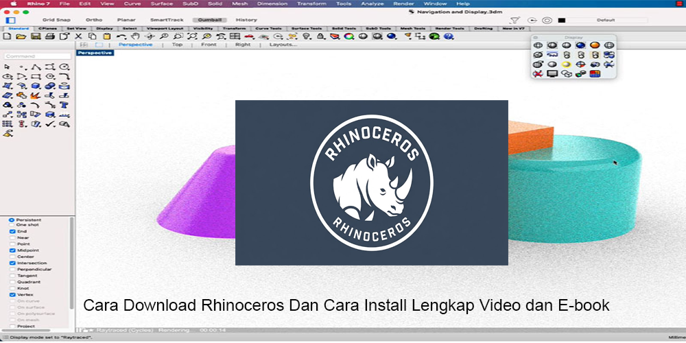 Rhinoceros